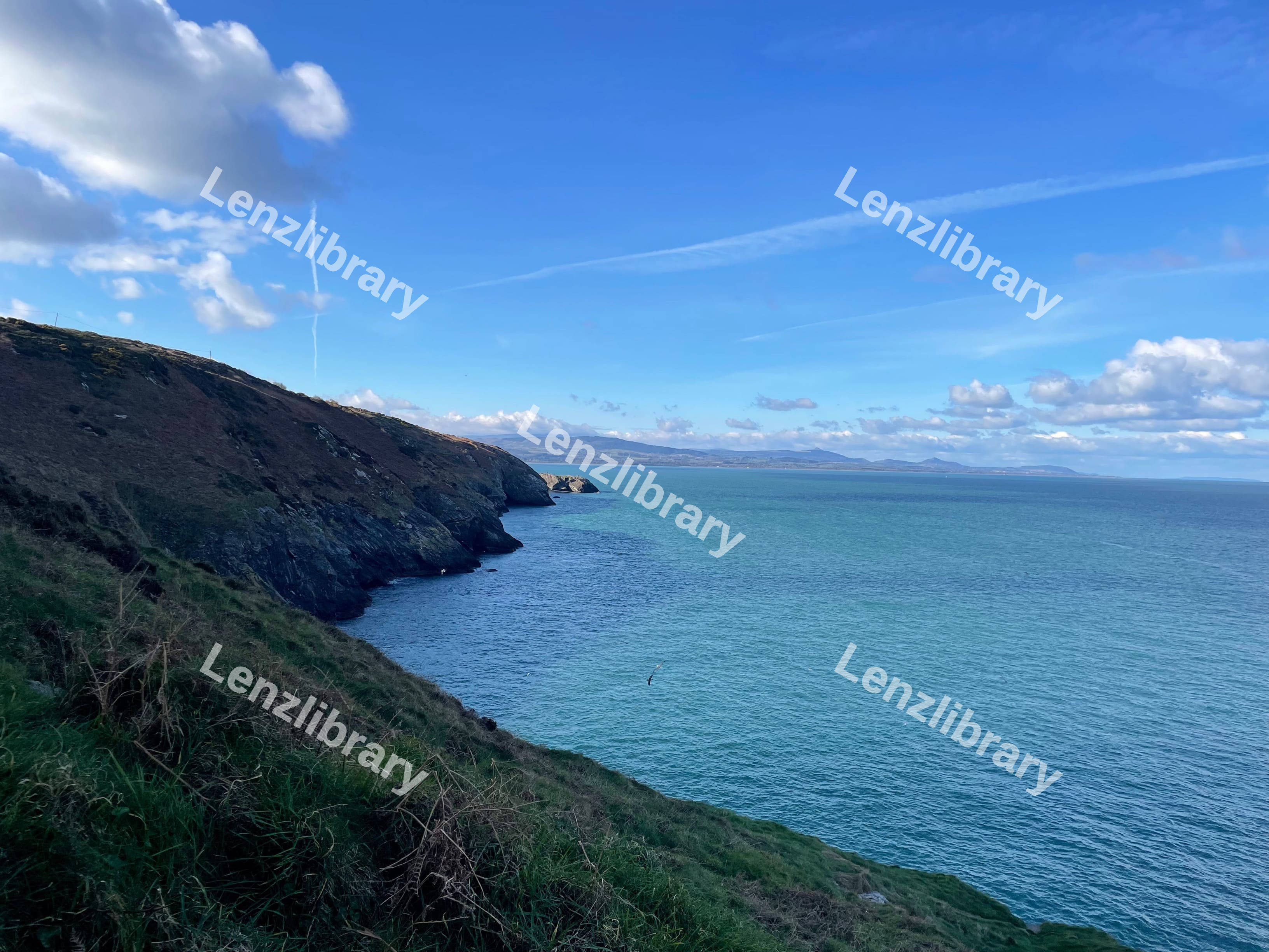 Coastline